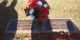Clifford & Janice Hill Headstone
