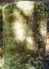Curtis A. Loper Headstone